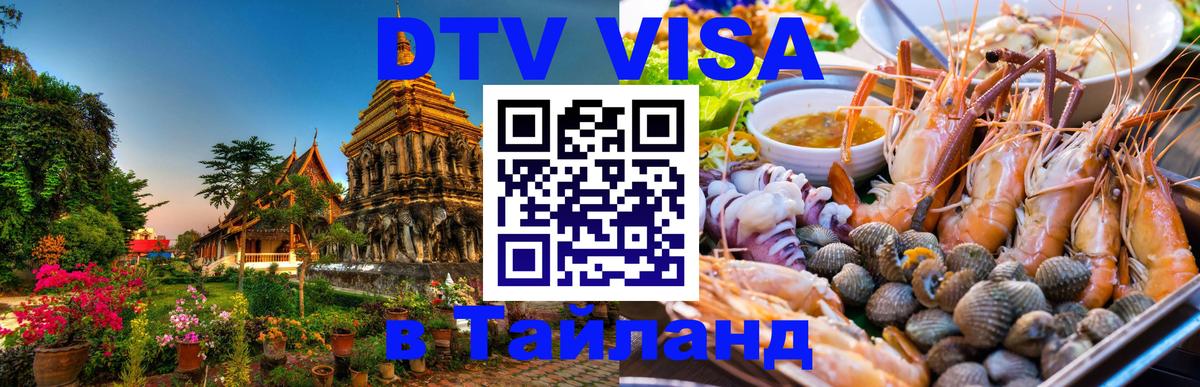 Оформление DTV визы под ключ: стоимость и тарифы, только загранпаспорт - 